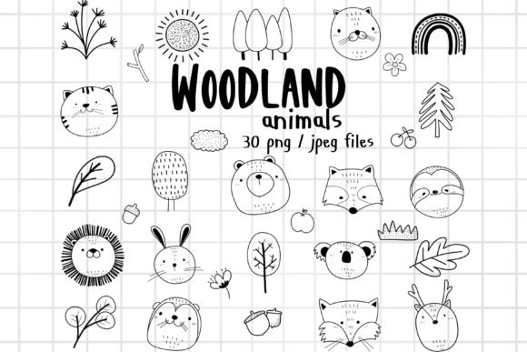 Download Woodland Animals Clipart,Wild Animal - Wild animal Collection