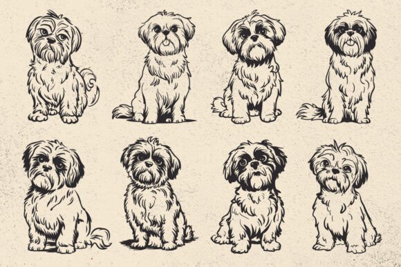 Download Shih Tzu Svg, Dog SVG File for Cricut - Dog Collection