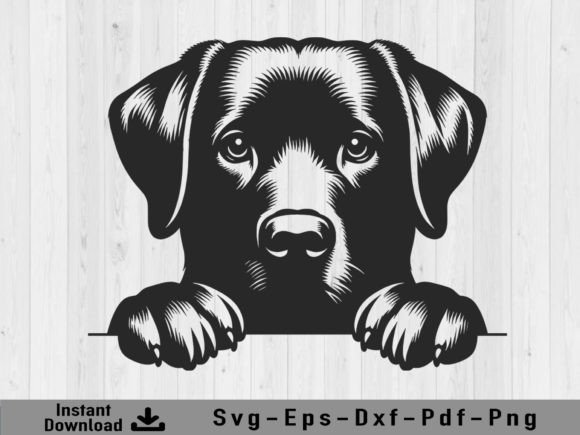 Download Peeking Labrador Retriever Dog Svg File - Dog Collection
